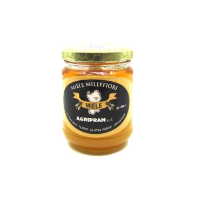 Miele millefiori Sardegna 250 gr Miele millefiori Sardegna 250 gr