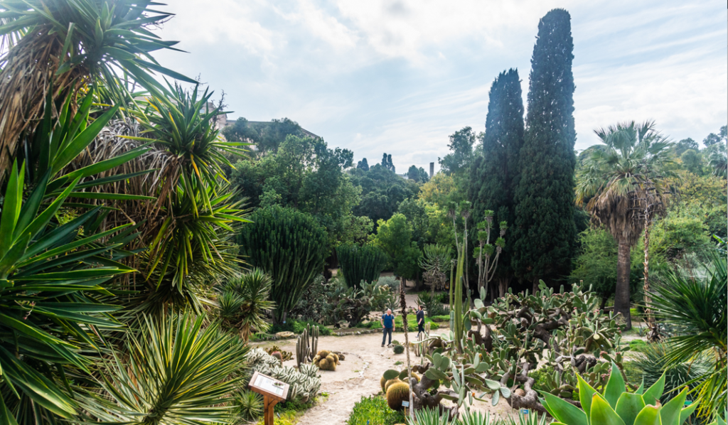 cagliari-orto-botanico
